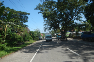 Eine Stra├če mit Fahrzeugen, die zwischen B├Ąumen und Pflanzen fahren, Strommasten mit ├ťberkopfleitungen und einem klaren blauen Himmel.