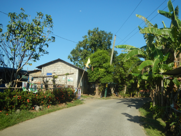 Ein kleines Dorf mit einer Straße, gesäumt von Bäumen und Pflanzen, mit Häusern, Masten und Drähten im Hintergrund unter einem klaren blauen Himmel.