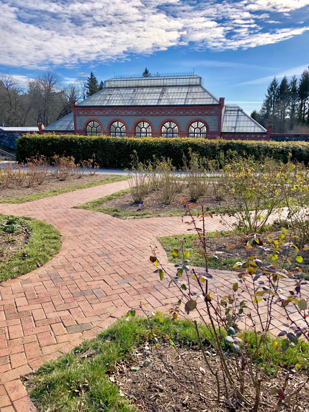 Ein Ziegelweg führt zu einem Gewächshaus in einem Park, umgeben von grünem Gras, Pflanzen und Bäumen, unter einem Himmel voller weißer, flauschiger Wolken.