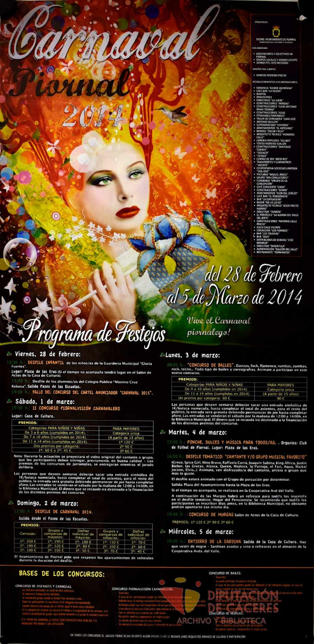 Eine Frau in einem farbenfrohen Kleid, die fröhlich in die Mitte eines leuchtend gelben Plakats schaut, umgeben von schwarzem, fetten Text, der 'Karnevalsfest 2014' lautet.