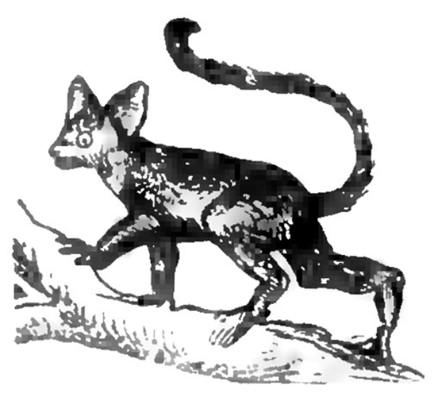 Schwarzes und weißes Clipart-Zeichnung eines katzenähnlichen Wesens aus der ägyptischen Mythologie.