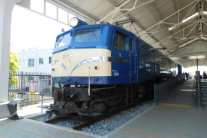Blauer und weißer Zug fährt auf Schienen neben einem Bahnsteig mit einigen Menschen, Treppe auf der rechten Seite, Geländer auf der linken Seite und Hintergrund mit einem Eisenzaun, Bäumen, einem Gebäude und Himmel.