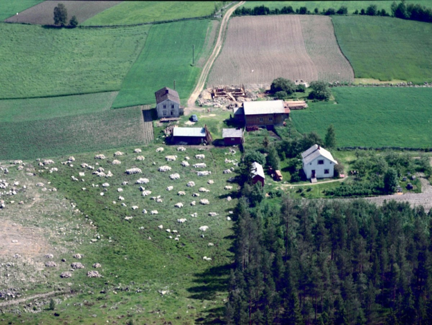 Luftaufnahme eines Bauernhofs mit Schafen in der Vordergrund, umgeben von Häusern, Bäumen, Pflanzen, Gras und Steinen, mit Text oben und unten.