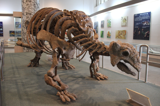 Ein großes Dinosaurierskelett in einem Museum ausgestellt, umgeben von Geländern und Informationsschildern, mit einer Säule und Deckenlampen im Hintergrund.