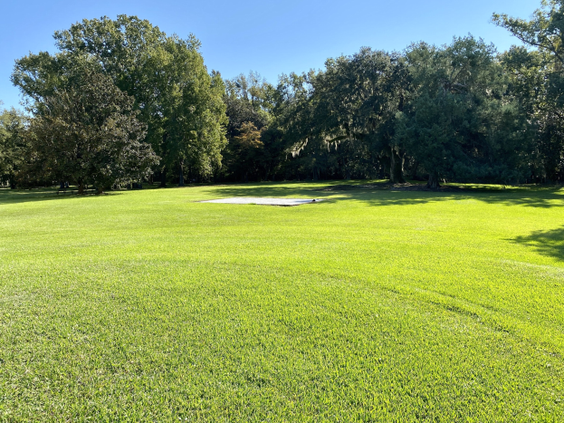 Golfplatz mit saftig grünem Rasen und Bäumen im Hintergrund auf dem 18. Loch eines Golfclubs in Charleston, SC, mit dem Himmel darüber.