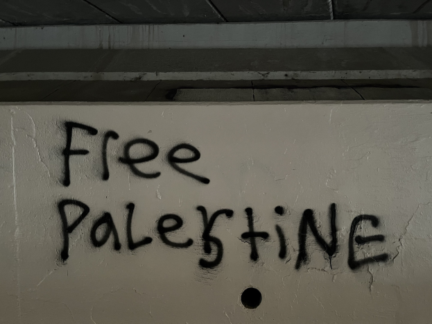 Schwarze Graffiti-Schriftzug "free palestine" an einer Wand, beleuchtet von einer Lampe oben.