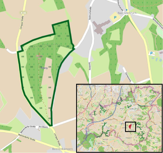 Ein detaillierter Stadtplan, der einen zentralen grünen Bereich hervorhebt, der für eine geplante Entwicklung markiert ist, mit umgebenen Straßen, Gebäuden und Sehenswürdigkeiten.