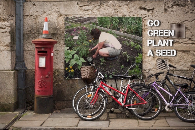Fahrräder in der Nähe eines Briefkastens mit einer Sicherheitstonne, ein Plakat an einer Wand mit Text und ein Weg am Boden.