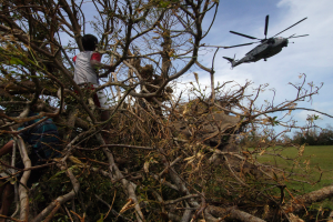 Ein Hubschrauber mit einem darauf liegenden Baum, daneben stehen zwei Personen auf einer grünen Fläche, umgeben von ein paar anderen Bäumen und unter einem bewölkten Himmel.