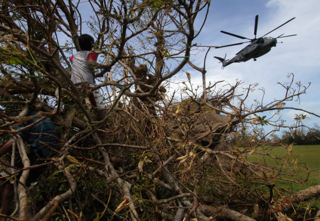 Ein Hubschrauber mit einem darauf liegenden Baum, daneben stehen zwei Personen auf einer grünen Fläche, umgeben von ein paar anderen Bäumen und unter einem bewölkten Himmel.