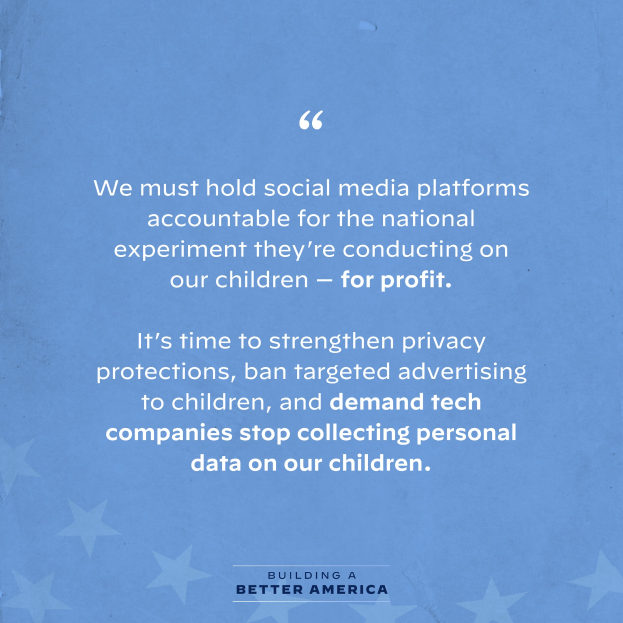 Ein Plakat mit einem Zitat aus Building a Better America, das lautet: "Wir müssen Social-Media-Plattformen für das nationale Experiment zur Rechenschaft ziehen, das sie an unseren Kindern durchführen - zum Profit.", geschmückt mit Sternen.