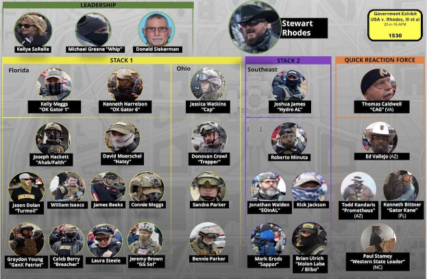 Ein Computermonitor, der eine Videospielszene mit mehreren Spielern in bunten Kleidern und Helmen anzeigt, beschriftet mit "GTA 5 Quick Reaction Force".