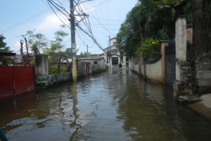 Eine überflutete Stadtstraße mit einer Person auf einem Fahrrad im Vordergrund, flankiert von Mauern und Bäumen, und im Hintergrund Gebäude, Pfähle und Drähte sowie der Himmel.