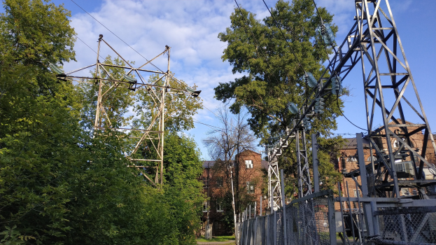 Gro├če Stromleitung durch einen Wald mit Tieren, Masten, Dr├Ąhten und einem Zaun.