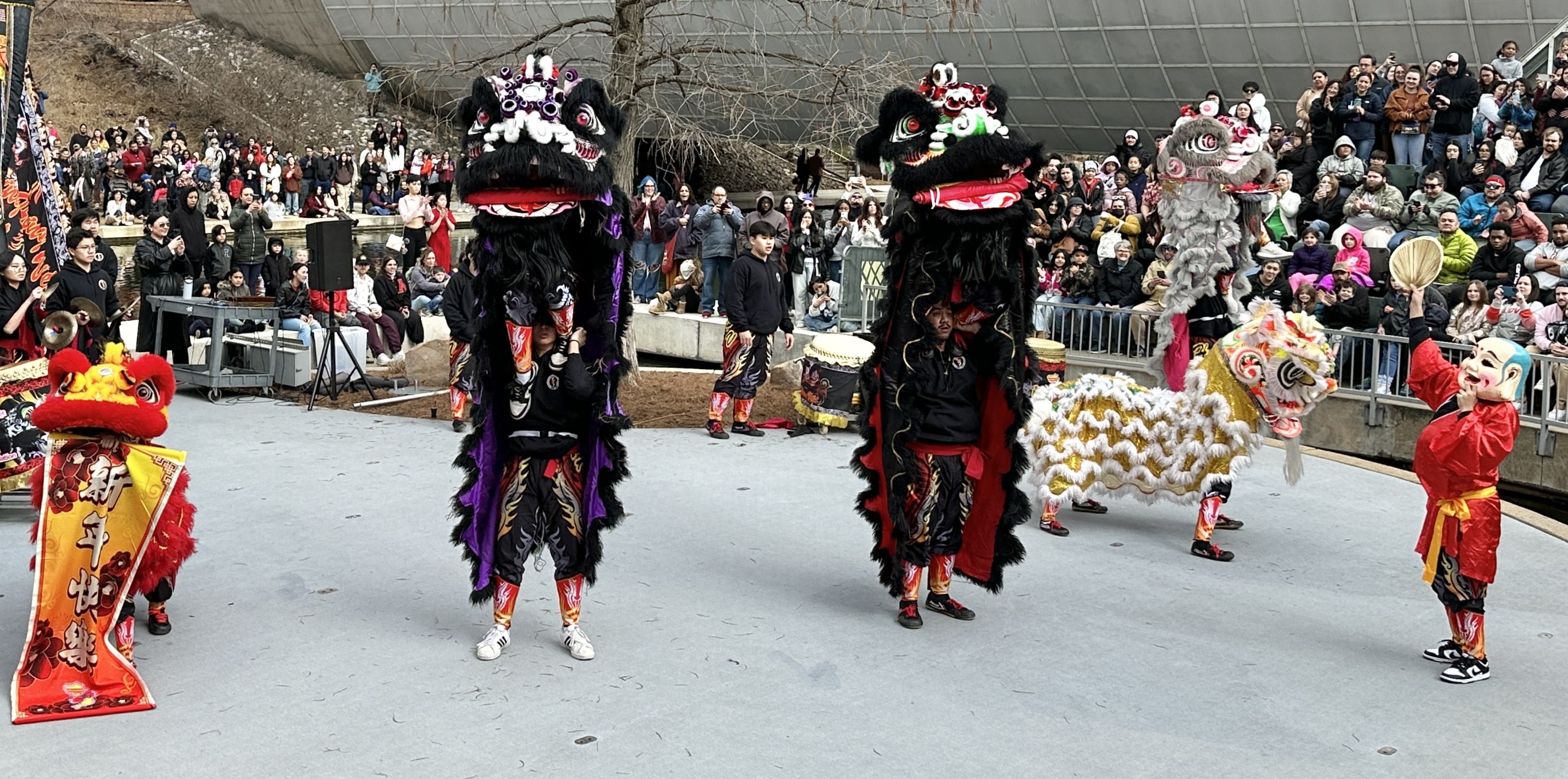 Das Programm für das Stadtfest