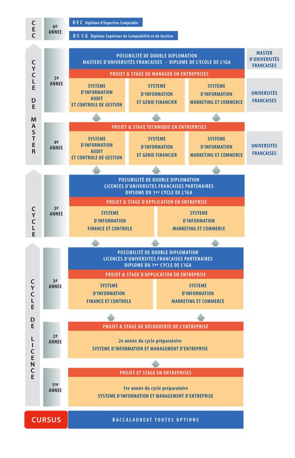 Diagramm, das die Organisationsstruktur eines Unternehmens mit Phasen des Geschäftswachstums darstellt, dargestellt durch verbundene Kästchen und beschreibenden Text.