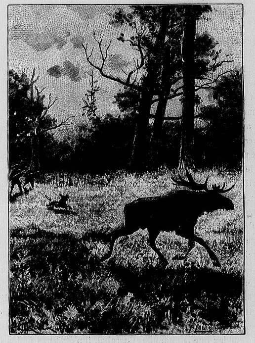 Schwarzes und weißes Foto eines durch einen bewaldeten Bereich laufenden Mooses mit Bäumen im Hintergrund und Text unten.