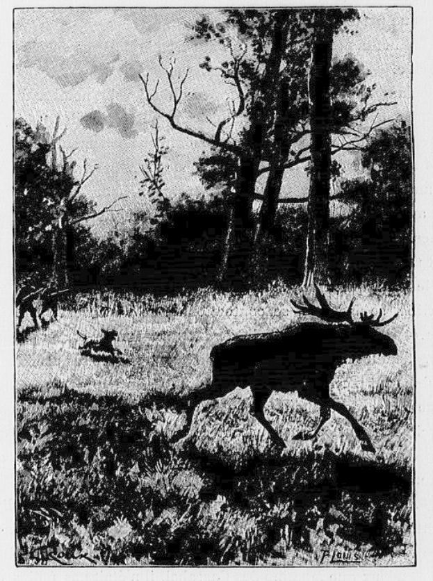 Schwarzes und weißes Foto eines durch einen bewaldeten Bereich laufenden Mooses mit Bäumen im Hintergrund und Text unten.