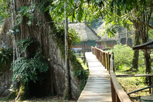 Ein hölzerner Steg windet sich durch einen üppigen grünen Wald, mit einem Geländer auf beiden Seiten, das zu Hütten und Bäumen im Hintergrund führt.