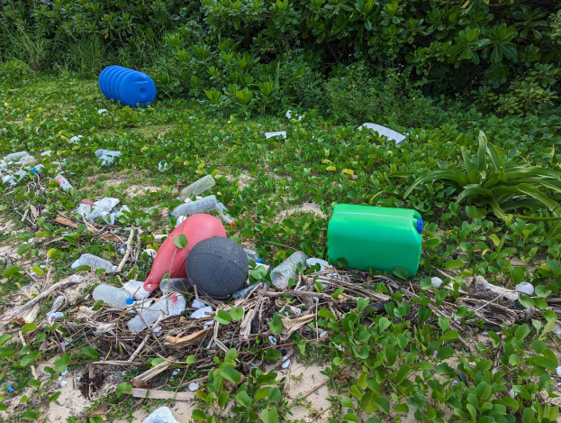 Ein von Plastikflaschen, Dosen und Abfällen übersäter Strand mit Pflanzen und Bäumen im Hintergrund.