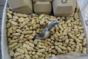 Erdnussallergie: Palforzia eingestellt