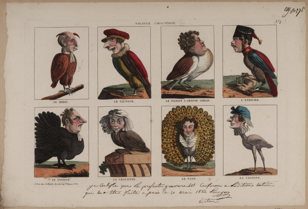 Ein Buchumschlag mit Illustrationen verschiedener Vögel und verkleideter Menschen, mit einbezogenem Text.